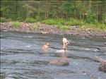 Sweden 2006-07 109